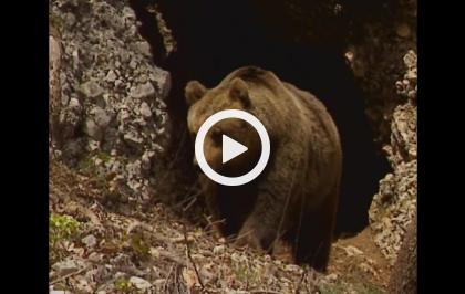 Yellowstone d'Abruzzo