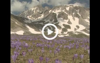 Ritorno all'ombelico d'Italia