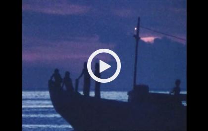 L'opera selvaggia - All'inizio fu la musica