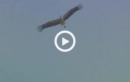 Cilento, l'oasi della vita