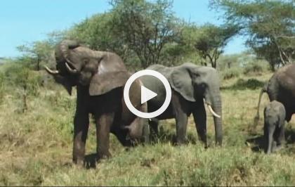 L'unione fa la forza