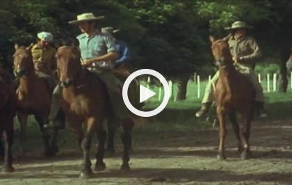 Gli ultimi grandi cavalieri - I gauchos parte 1