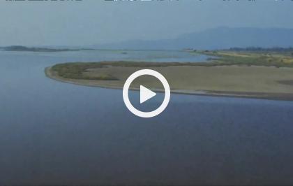 Europa selvaggia - Dietro la duna