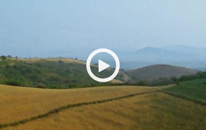 Europa selvaggia - Conflitto di interessi