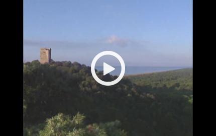 Un giorno in maremma