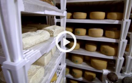 I formaggi della Valnerina