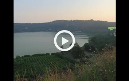 Il viaggio di Cico, l'amico Beccafico