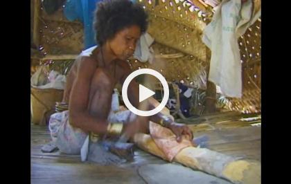 Il riso delle api - Tra i Batak di Palawan