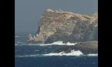 Parchi italiani I - L'isola, il Parco Nazionale dell' Asinara