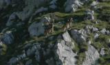 Parco Nazionale Dolomiti Bellunesi - Emozioni naturali (corto)