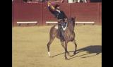 Gli ultimi grandi cavalieri - La danza del cavaliere andaluso