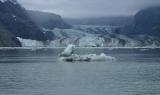 Prossimamente "Sulle tracce dei ghiacciai: Missione in Alaska"