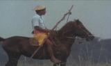 Gli ultimi grandi cavalieri - Sumba, isola dei cavalli parte 1