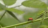 Il Parco nazionale dei Monti Sibillini